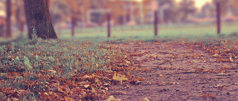 手机号群发平台