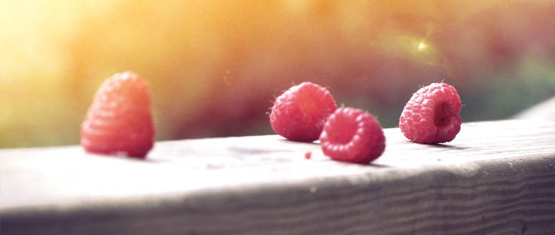 数据驱动决策的在线短信网页版免费版